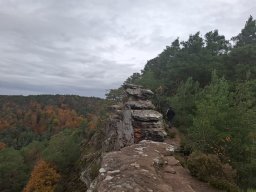 Wanderung Lindelbrunn Nov 2025